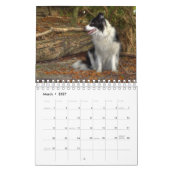 Originele Unieke Border Collie Dog Kalender (Mar 2027)