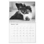 Originele Unieke Border Collie Dog Kalender (Feb 2027)