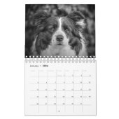 Originele Unieke Border Collie Dog Kalender (Jan 2026)