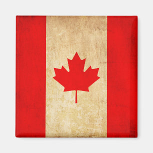 Originele Vintage Patriottische Nationale Vlag van Magneet
