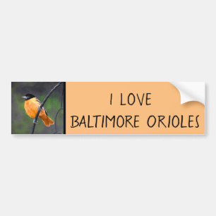 Originele Vogel Kunst - Oriole Schilderij Bumpersticker