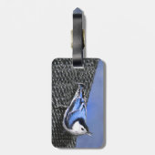 Originele vogelkunst schilderij van de witborstboo bagagelabel (Achterkant verticaal)