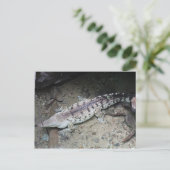 Orinoco Crocodile # 3 Briefkaart (Staand voorkant)