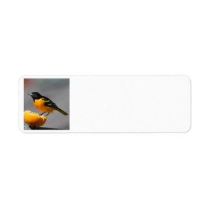 Oriole adderlabel etiket