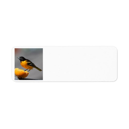 Oriole adderlabel etiket (Voorkant)