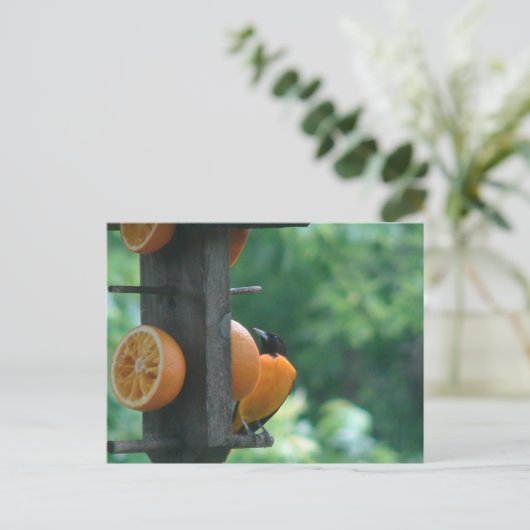 Oriole and Oranges Briefkaart (Staand voorkant)