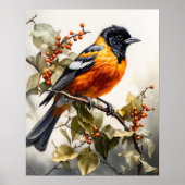 Oriole Bird Art Print Poster (Voorkant)