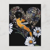 Oriole Bird Daisy Flower Natuur Art Briefkaart (Voorkant)