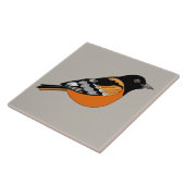 Oriole Black en Oranje Bird Graphic Tegeltje (Zijkant)
