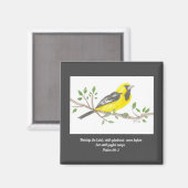 Oriole Magnet (Voorkant / Achterkant)