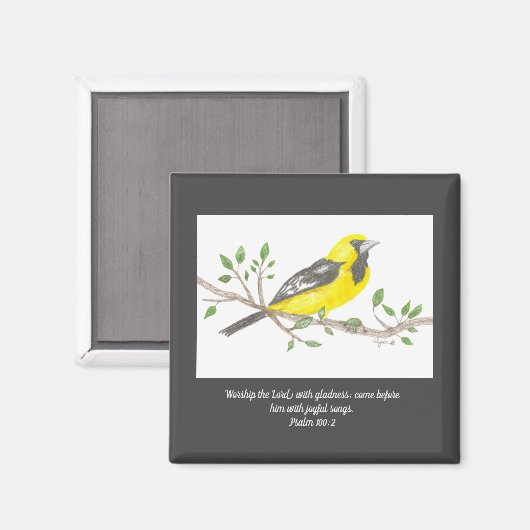 Oriole Magnet (Voorkant / Achterkant)