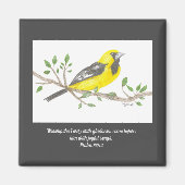 Oriole Magnet (Voorkant)