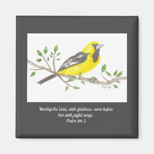Oriole Magnet (Voorkant)