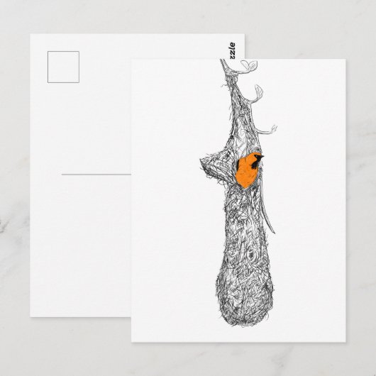 Oriole Nest Briefkaart (Voorkant / Achterkant)