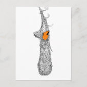 Oriole Nest Briefkaart (Voorkant)
