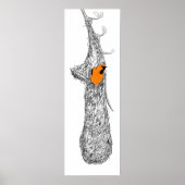 Oriole Nest Poster (Voorkant)