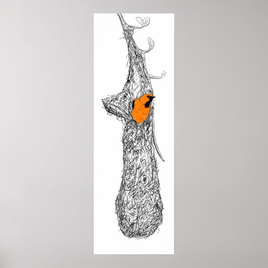 Oriole Nest Poster (Voorkant)