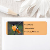 Oriole Painting - Oorspronkelijke vogelkunst Etiket (Insitu)