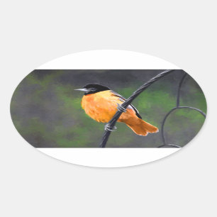 Oriole Painting - Oorspronkelijke vogelkunst Ovale Sticker