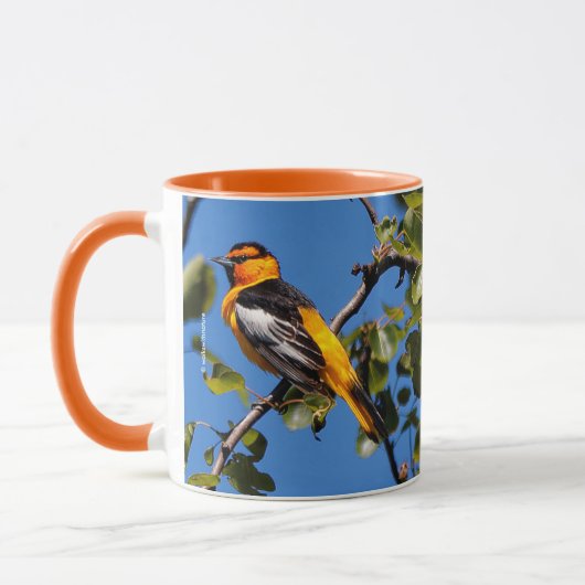 Oriole Songbird in Pear Tree Mok (Links)
