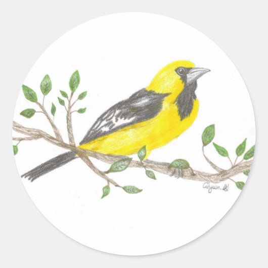 Oriole sticker (Voorkant)