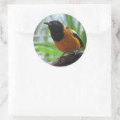 Oriole van Helaine Ronde Sticker (Tas)