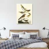 Oriolen, Thrushes, uit Audubon's Birds of America Canvas Afdruk (Insitu (Slaapkamer))