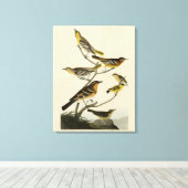 Oriolen, Thrushes, uit Audubon's Birds of America Canvas Afdruk (Insitu (Houten vloer))