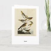 Oriolen, Thrushes, uit Audubon's Birds of America Kaart (Achterkant)