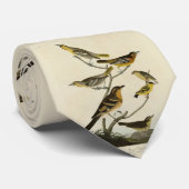 Oriolen, Thrushes, uit Audubon's Birds of America Stropdas (Opgerold)