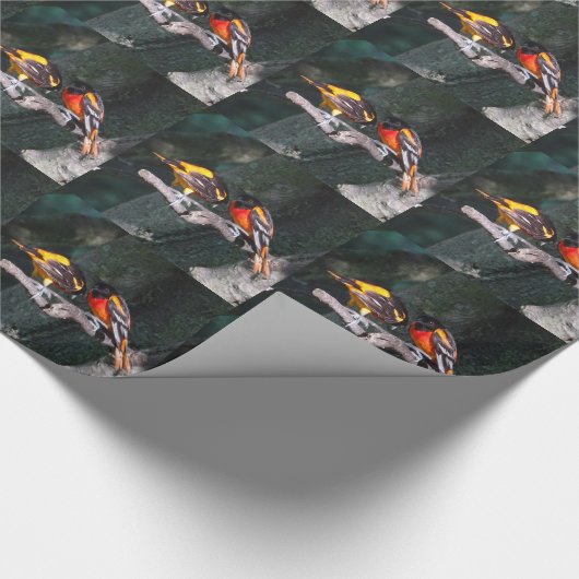 Orioles Cadeaupapier (Hoek)