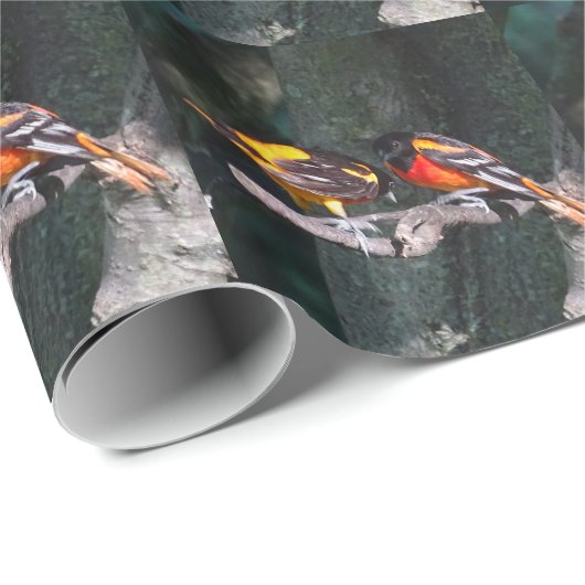 Orioles Cadeaupapier (Rol Hoek)