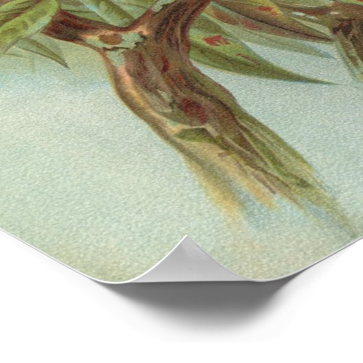 Oriolus oriolus door Johann Friedrich Naumann Poster (Hoek)