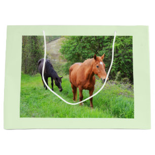 Orion en North Star Groot Cadeauzakje