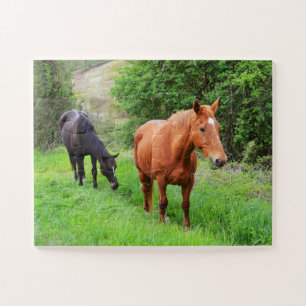 Orion en North Star Legpuzzel