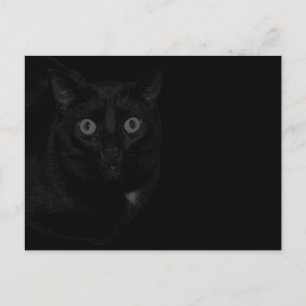 Orion Mijn Kat BlackOut Briefkaart