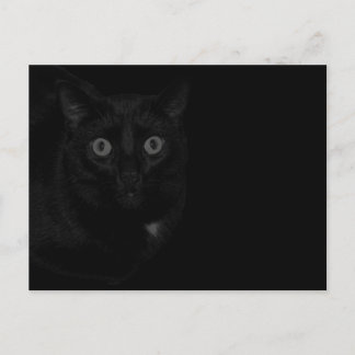 Orion Mijn Kat BlackOut Briefkaart