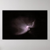 orion nebula poster (Voorkant)
