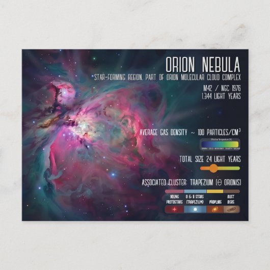 Orion Nebula Space Infographic Star Formation Briefkaart (Voorkant)