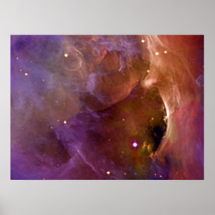 Orion Nebula zalmroze NASA Poster