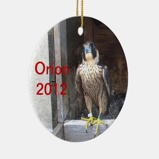 Orion Ornament 2012 (Rechts)