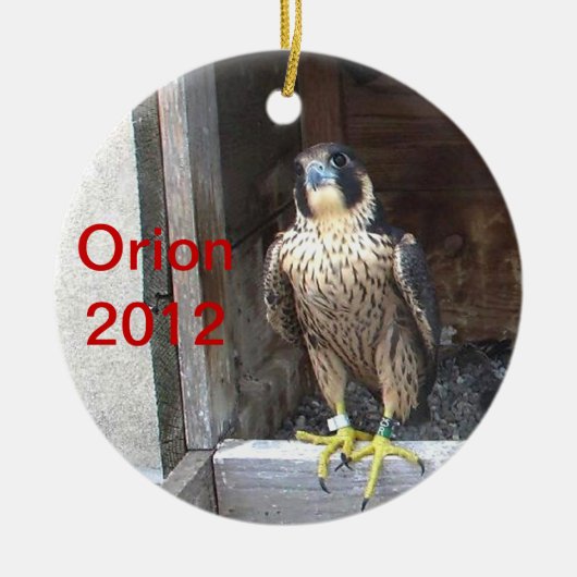 Orion Ornament 2012 (Voorkant)