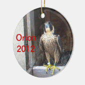 Orion Ornament 2012 (Links)