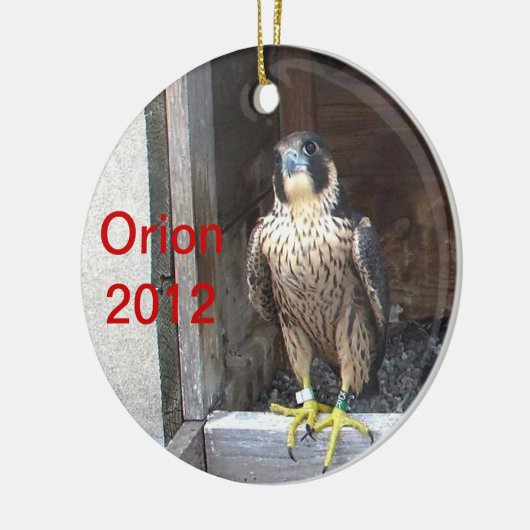 Orion Ornament 2012 (Links)
