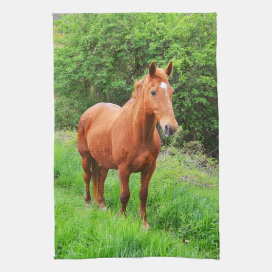 Orion Theedoek (Verticaal)