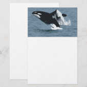 orka briefpapier (Voorkant / Achterkant)