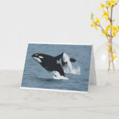 orka kaart (Gele Bloem)
