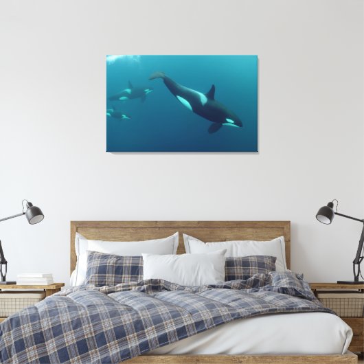 Orka "Killer Whale" Canvas (Insitu (Slaapkamer))