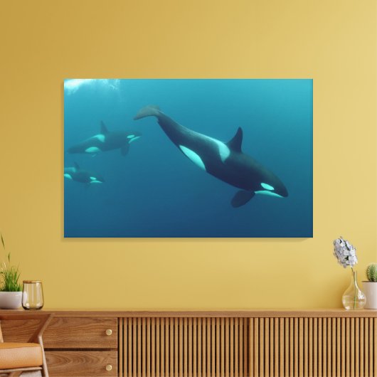 Orka "Killer Whale" Canvas (Insitu (Woonkamer))