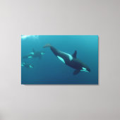 Orka "Killer Whale" Canvas Afdruk (Voorkant)